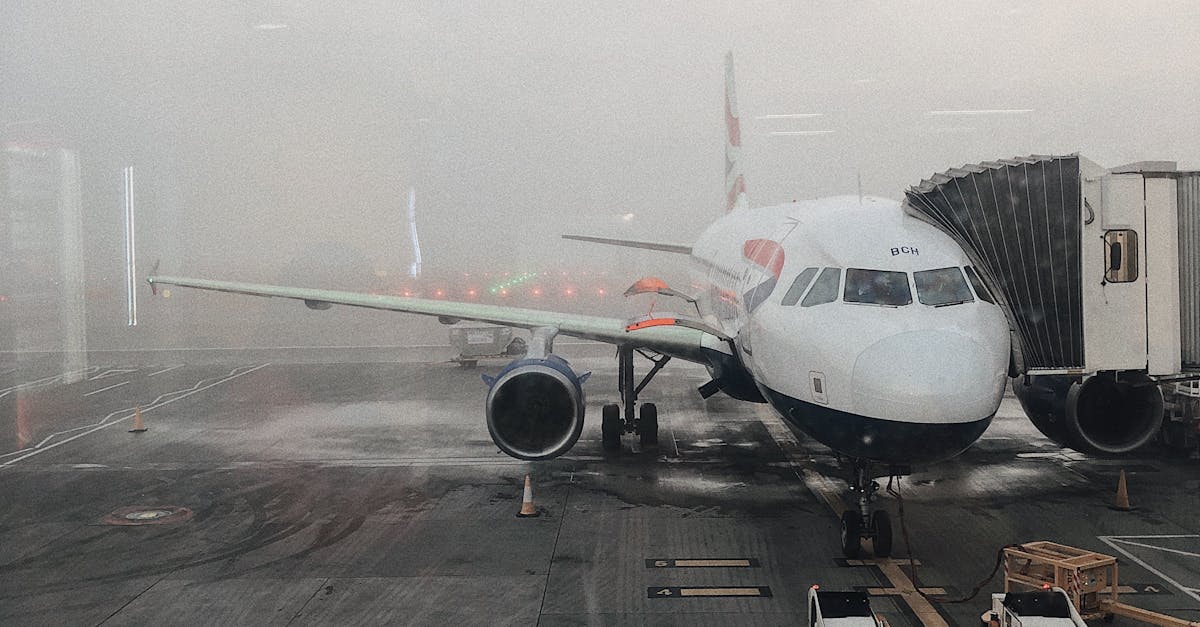 Utilizing Airport Information Desks to Avoid Taxi Fraud